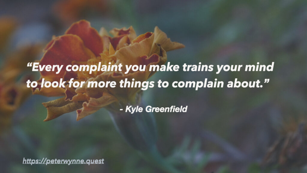 Photo of a African marigold (Tagetes erecta) flower with a quote by Kyle Greenfield which reads: Every complaint you make trains your mind to look for more things to complain about.