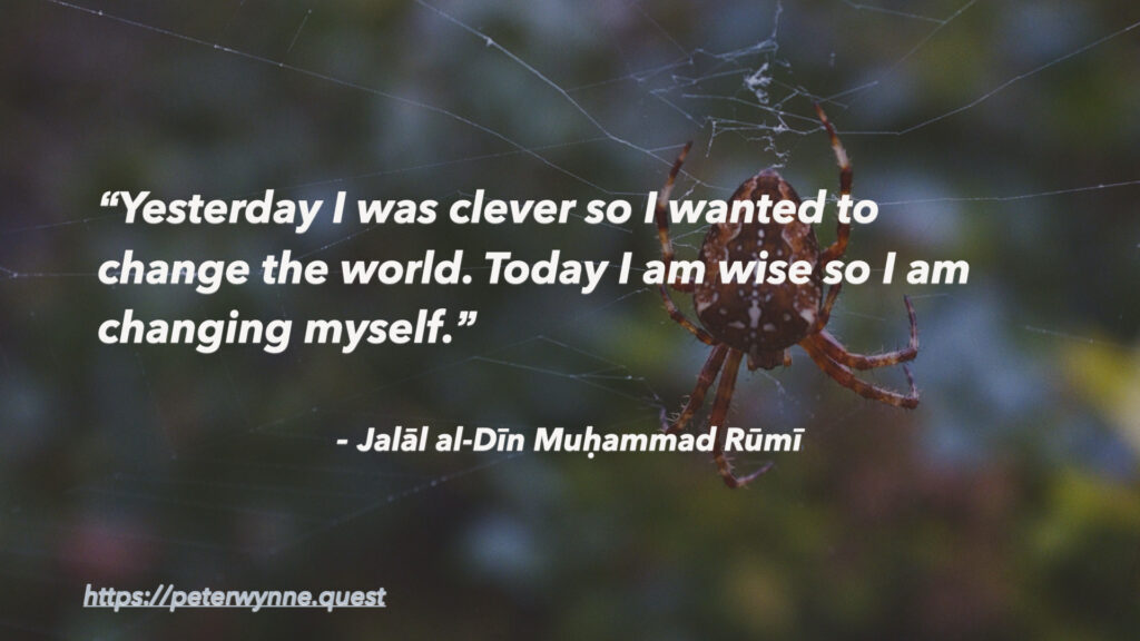 Photo by Peter Wynne of a European Garden Spider (Araneus diadematus) on its web with a quote overly by Rumi which reads: -Yesterday I was clever so I wanted to change the world. Today I am wise so I am changing myself.