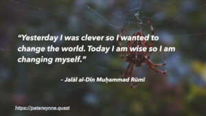 Photo by Peter Wynne of a European Garden Spider (Araneus diadematus) on its web with a quote overly by Rumi which reads: -Yesterday I was clever so I wanted to change the world. Today I am wise so I am changing myself.