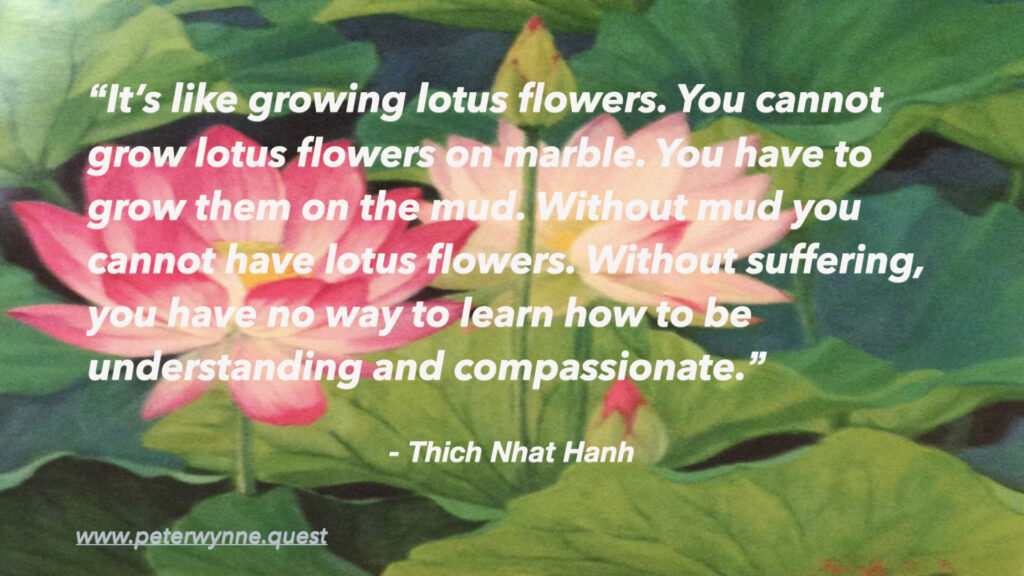 Photo by Peter Wynne of a calendar painting depicting an Indian Lotus (Nelumbo nucifera) flower and plant overlayed with the following quote by Thich Nhat Hanh: “It’s like growing lotus flowers. You cannot grow lotus flowers on marble. You have to grow them on the mud. Without mud you cannot have lotus flowers. Without suffering, you have no way to learn how to be understanding and compassionate.”