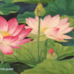 Photo by Peter Wynne of a painting depicting an Indian Lotus (Nelumbo nucifera) flower and plant