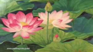 Photo by Peter Wynne of a painting depicting an Indian Lotus (Nelumbo nucifera) flower and plant