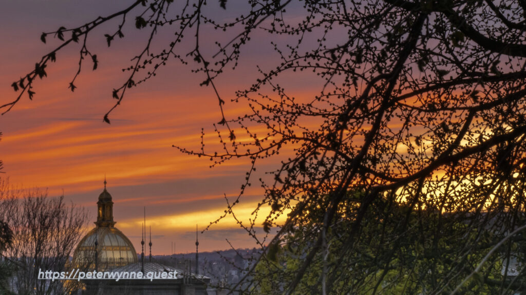 Photo by Peter Wynne of Prague skyline inclusive of a dome at sunset. Some tree are in the foreground.